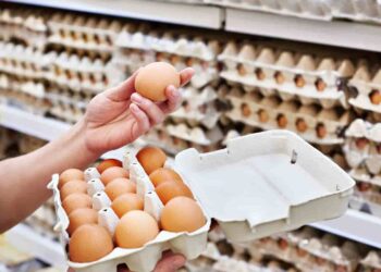 México lidera exportaciones de huevo a EE. UU. en medio de escasez por Influenza Aviar