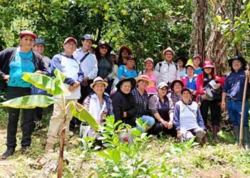 Productores de Paltas fortalecen sus conocimientos sobre cultivo de café