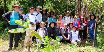 Productores de Paltas fortalecen sus conocimientos sobre cultivo de café