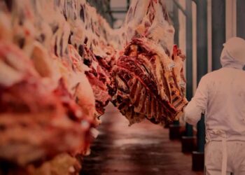 FAO: el precio de la carne bovina se fortalece, mientras que avícolas y porcinos caen