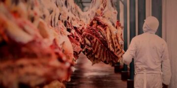 FAO: el precio de la carne bovina se fortalece, mientras que avícolas y porcinos caen