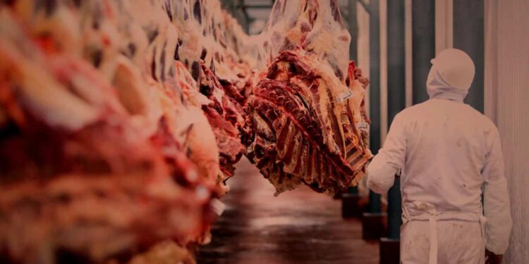 FAO: el precio de la carne bovina se fortalece, mientras que avícolas y porcinos caen