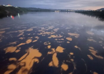 Derrame de petróleo en Quinindé amenaza cultivos de cacao y palma