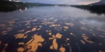 Derrame de petróleo en Quinindé amenaza cultivos de cacao y palma