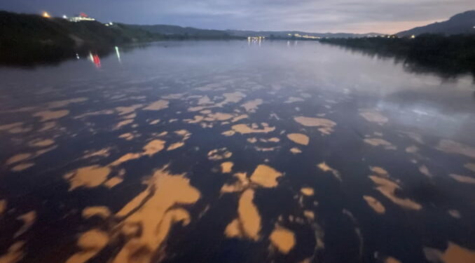 Derrame de petróleo en Quinindé amenaza cultivos de cacao y palma