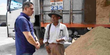 MAG gestiona la compra directa de arroz, a productores de Guayas y Los Ríos