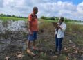 USD 967.000 reciben primeros productores beneficiados con el Bono para afrontar crisis climática