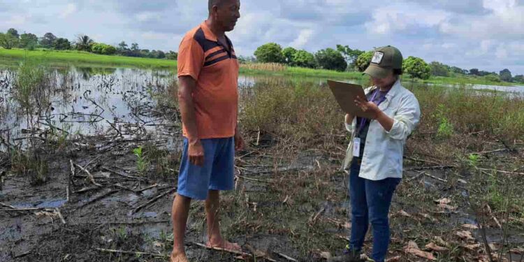 USD 967.000 reciben primeros productores beneficiados con el Bono para afrontar crisis climática