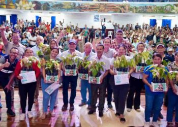 Ecuador avanza en trazabilidad de cacao para exportación bajo normativa europea