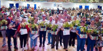 Ecuador avanza en trazabilidad de cacao para exportación bajo normativa europea