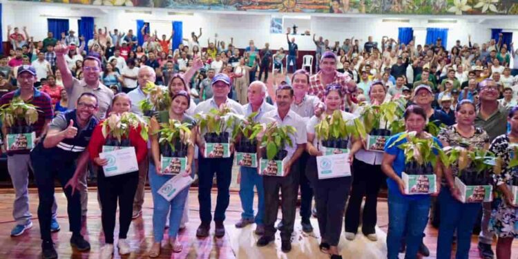 Ecuador avanza en trazabilidad de cacao para exportación bajo normativa europea