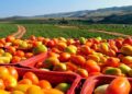 Ecuador participó en la reunión preparatoria de la Cumbre sobre Sistemas Alimentarios