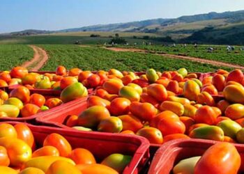 Ecuador participó en la reunión preparatoria de la Cumbre sobre Sistemas Alimentarios