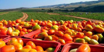 Ecuador participó en la reunión preparatoria de la Cumbre sobre Sistemas Alimentarios