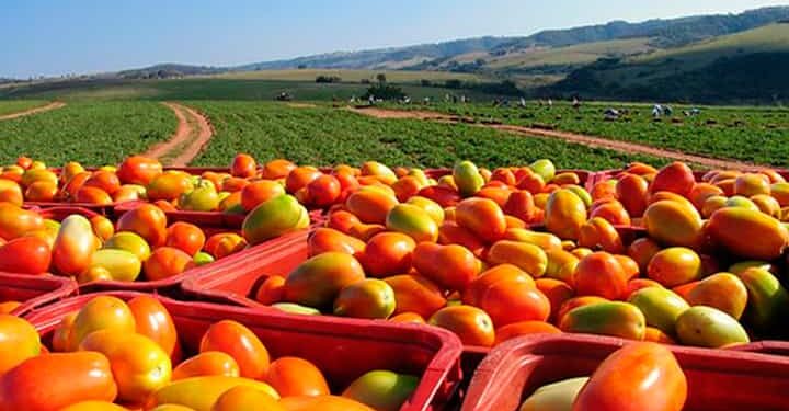 Ecuador participó en la reunión preparatoria de la Cumbre sobre Sistemas Alimentarios