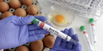Influenza Aviar se expande en Estados Unidos, India y Alemania