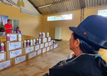 3.300 productores se benefician con insumos para impulsar la producción agrícola orgánica