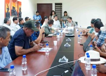 Ministerio de Agricultura y Ganadería no ha autorizado importar maíz en 2025