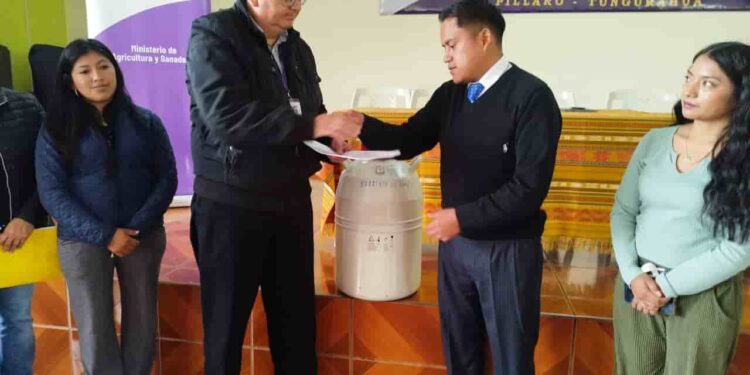 Más de 1.800 dólares se invierten en mejoramiento genético bovino en Tungurahua