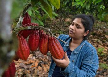 EE.UU. impone las tarifas arancelarias más bajas para Ecuador
