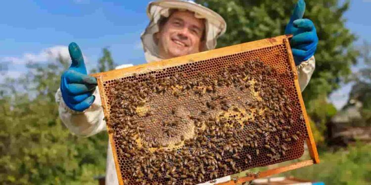 Encuentro de apicultura en Ambato, el 17 de mayo