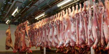FAO: producción de carne de ave y res aumenta; sector porcino frena su expansión
