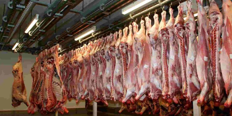 FAO: producción de carne de ave y res aumenta; sector porcino frena su expansión