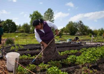 Invitan a participar en la comunidad de práctica en agroecología para América Latina y el Caribe