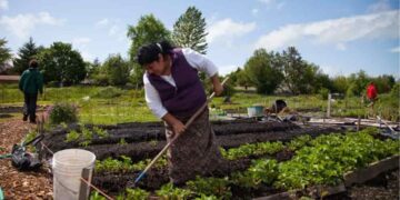 Invitan a participar en la comunidad de práctica en agroecología para América Latina y el Caribe