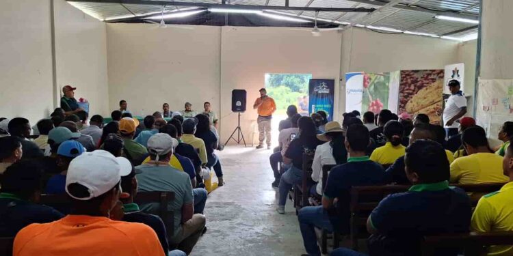 En Esmeraldas impulsan técnicas para el cuidado del suelo en jornada dirigida a productores