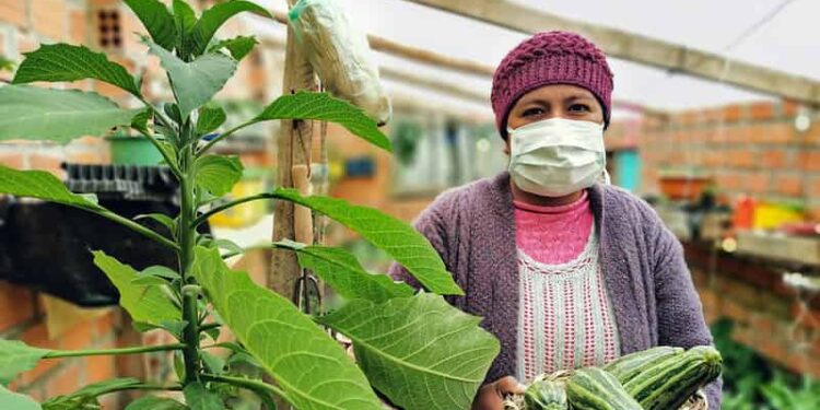 FAO: Las mujeres representan el 36 % de la fuerza laboral en los sistemas agroalimentarios en América Latina y el Caribe