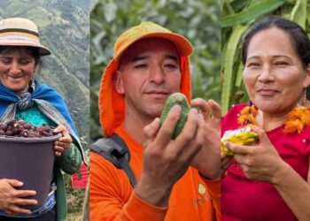 175 productores de frutas no tradicionales  obtienen certificaciones internacionales