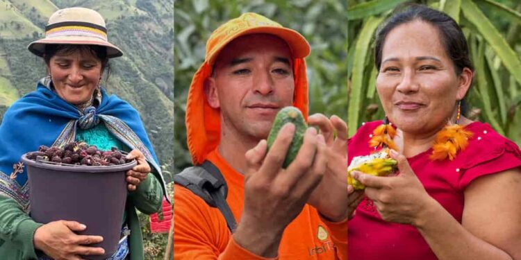 175 productores de frutas no tradicionales  obtienen certificaciones internacionales