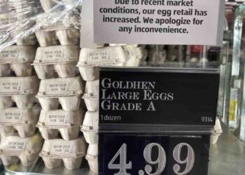 Precio minorista del huevo cae en EE. UU. por primera vez en meses, tras impacto de Influenza Aviar