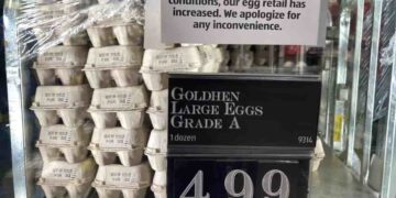 Precio minorista del huevo cae en EE. UU. por primera vez en meses, tras impacto de Influenza Aviar