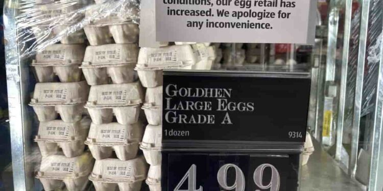 Precio minorista del huevo cae en EE. UU. por primera vez en meses, tras impacto de Influenza Aviar