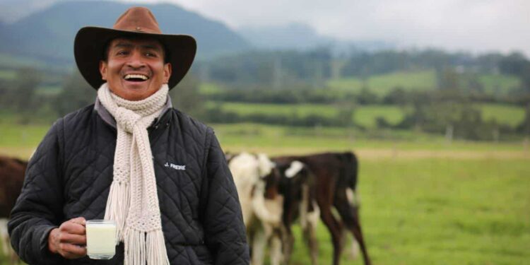 Leche UHT ecuatoriana ya se exporta a El Salvador