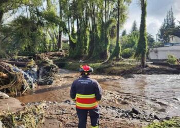 Lluvias afectaron 27 mil hectáreas de cultivos en Ecuador