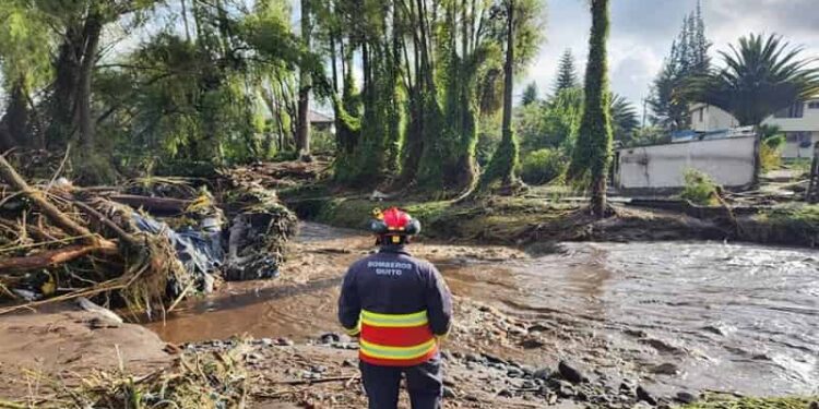 Lluvias afectaron 27 mil hectáreas de cultivos en Ecuador