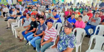 MAG lideró la segunda mesa técnica provincial del maíz en Tosagua, Manabí