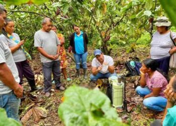 Entrega de títulos de propiedad para garantizar seguridad jurídica a productores de Napo