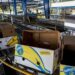 Por huelga de trabajadores se pierden 450 mil cajas de banano en Panamá