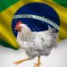 Brasil se declara libre de Influenza Aviar y busca reactivar exportaciones
