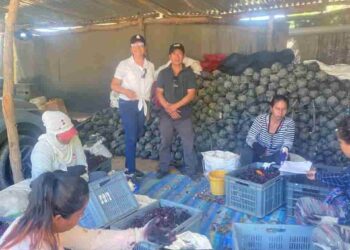 Capacitación a emprendedores lojanos en Buenas Prácticas de Manufactura