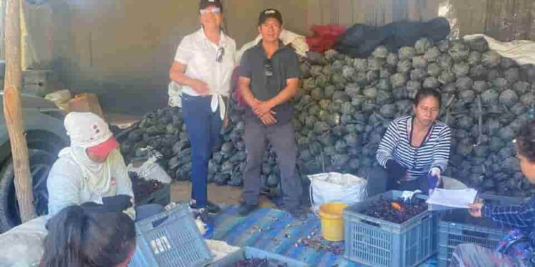 Capacitación a emprendedores lojanos en Buenas Prácticas de Manufactura