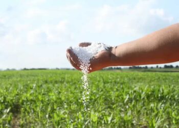 La Guerra entre Irán e Israel tiene repercusiones globales en varios productos alimenticios