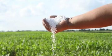 La Guerra entre Irán e Israel tiene repercusiones globales en varios productos alimenticios