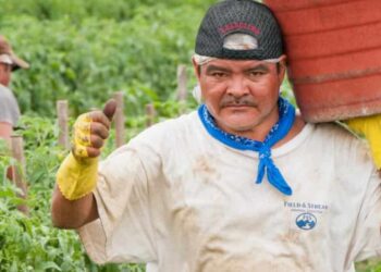 Escasez de trabajadores migrantes preocupa a productores de EE. UU.