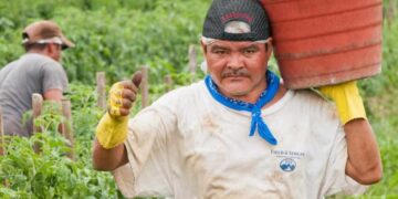 Escasez de trabajadores migrantes preocupa a productores de EE. UU.