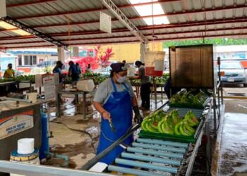 La economía creció en un 3% en el primer trimestre de 2025, según cifras del Banco Central